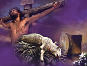 Domingo dia do Senhor!🙏 #missa #eucaristia #jesus #sacrificio #corpos